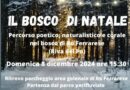 RO – IL BOSCO DI NATALE – DOMENICA 8 DICEMBRE 2024 – PERCORSO NATURALISTICO E CORALE NEL BOSCO DI RO FERRARESE